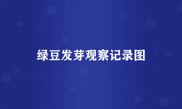 绿豆发芽观察记录图