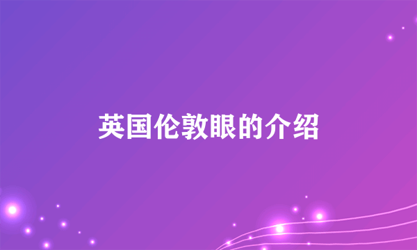 英国伦敦眼的介绍
