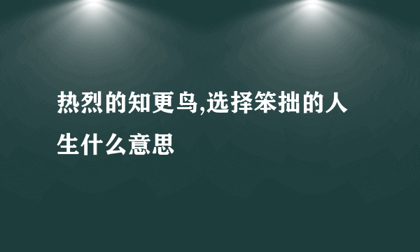 热烈的知更鸟,选择笨拙的人生什么意思