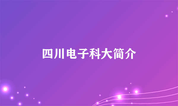 四川电子科大简介