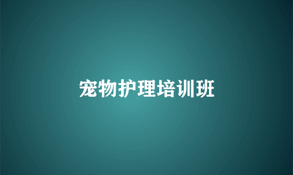 宠物护理培训班