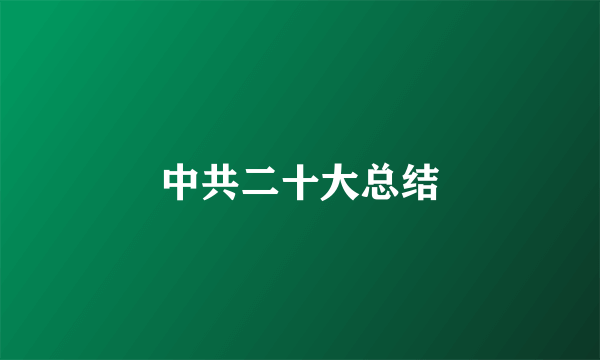中共二十大总结