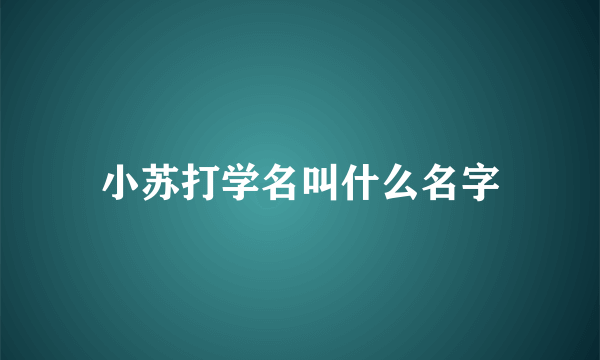小苏打学名叫什么名字