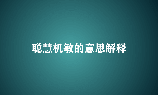 聪慧机敏的意思解释