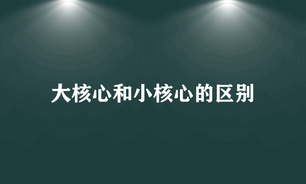 大核心和小核心的区别