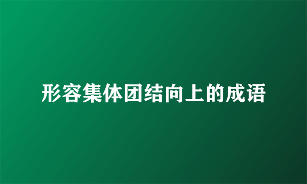 形容集体团结向上的成语