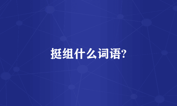 挺组什么词语?