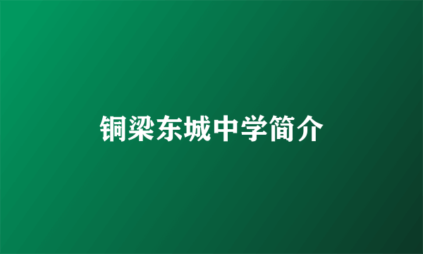 铜梁东城中学简介