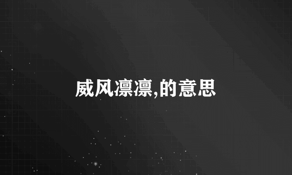 威风凛凛,的意思