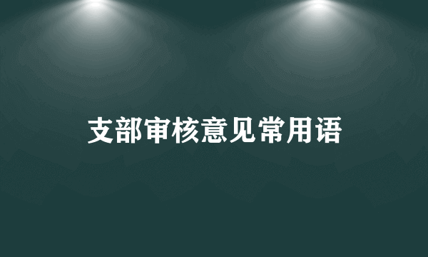 支部审核意见常用语