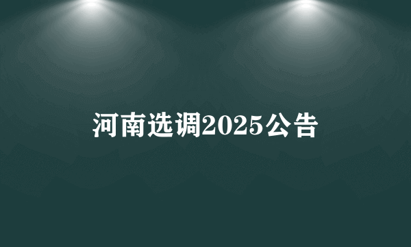 河南选调2025公告