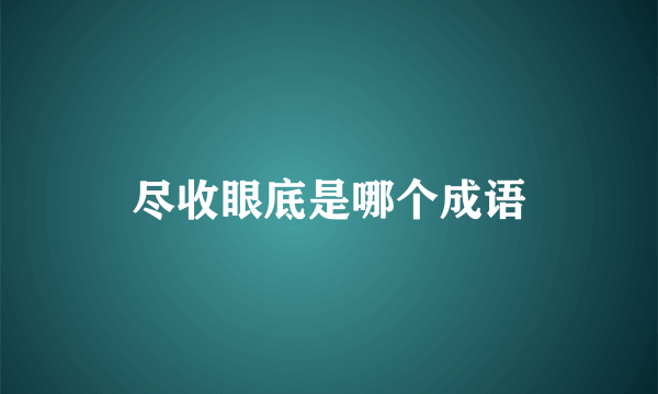 尽收眼底是哪个成语