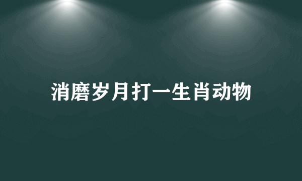 消磨岁月打一生肖动物