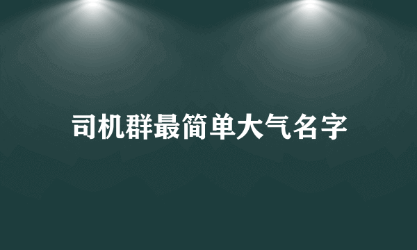 司机群最简单大气名字