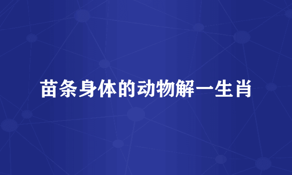 苗条身体的动物解一生肖