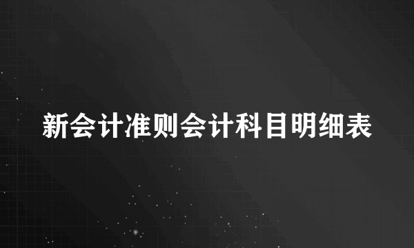 新会计准则会计科目明细表