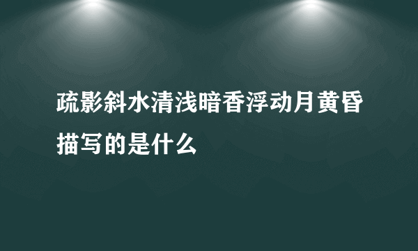 疏影斜水清浅暗香浮动月黄昏描写的是什么
