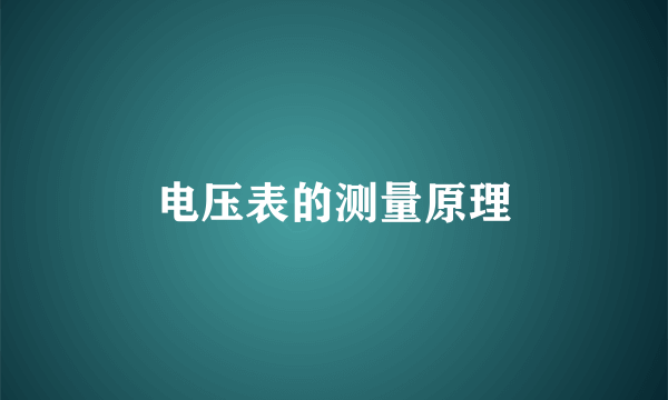 电压表的测量原理