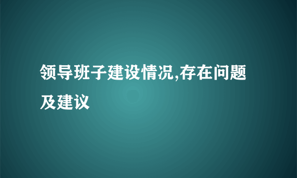 领导班子建设情况,存在问题及建议
