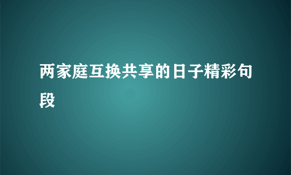 两家庭互换共享的日子精彩句段