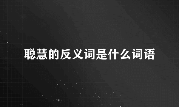 聪慧的反义词是什么词语