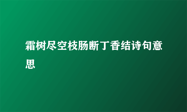 霜树尽空枝肠断丁香结诗句意思