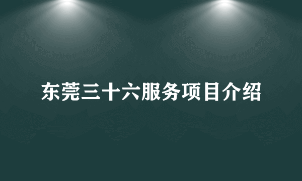 东莞三十六服务项目介绍
