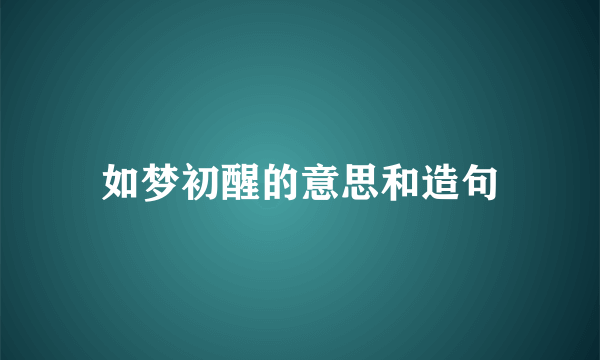 如梦初醒的意思和造句