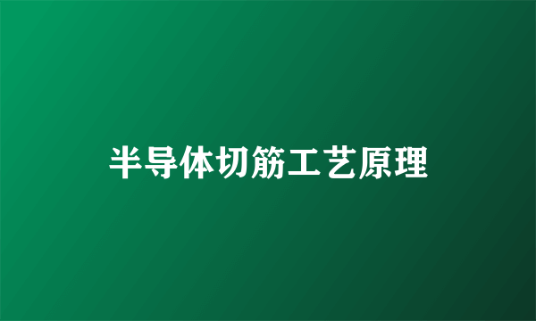 半导体切筋工艺原理