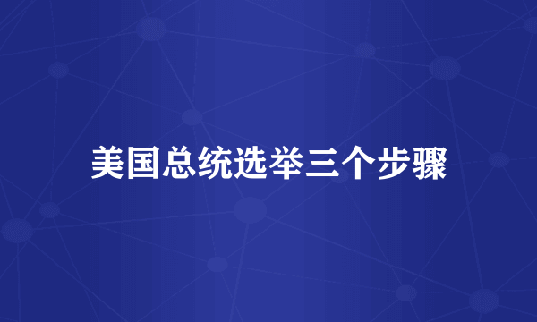 美国总统选举三个步骤