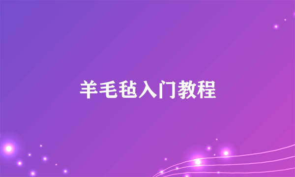 羊毛毡入门教程