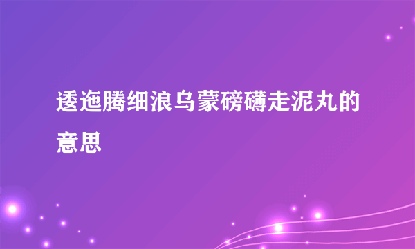 逶迤腾细浪乌蒙磅礴走泥丸的意思