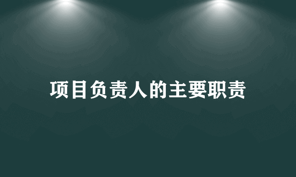 项目负责人的主要职责