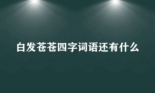 白发苍苍四字词语还有什么