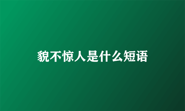 貌不惊人是什么短语