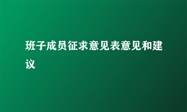 班子成员征求意见表意见和建议
