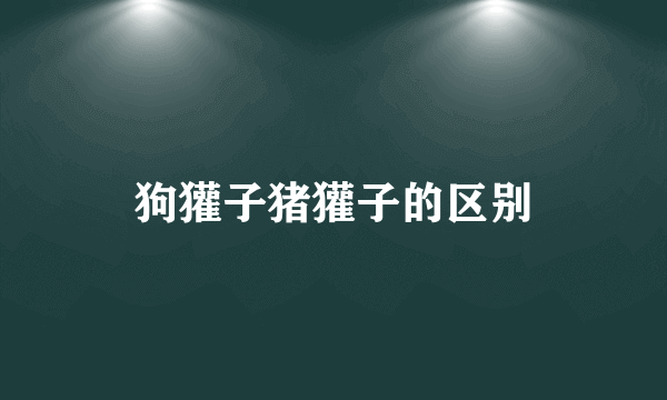 狗獾子猪獾子的区别