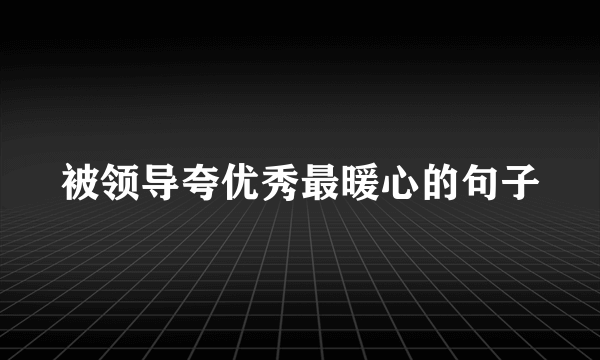 被领导夸优秀最暖心的句子