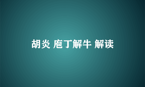 胡炎 庖丁解牛 解读