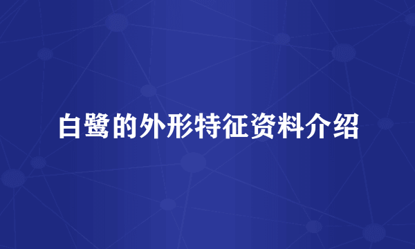 白鹭的外形特征资料介绍