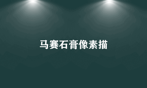 马赛石膏像素描