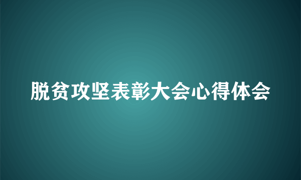 脱贫攻坚表彰大会心得体会