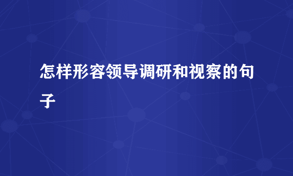 怎样形容领导调研和视察的句子