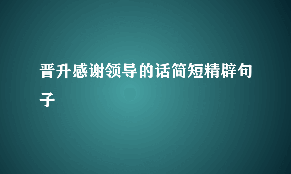 晋升感谢领导的话简短精辟句子