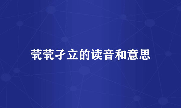 茕茕孑立的读音和意思
