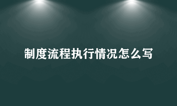制度流程执行情况怎么写