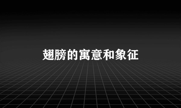 翅膀的寓意和象征