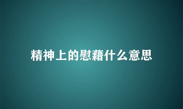 精神上的慰藉什么意思