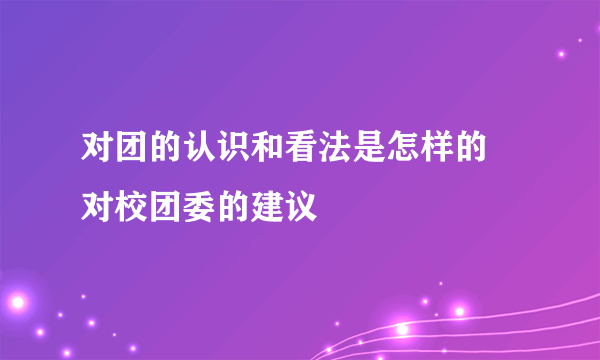 对团的认识和看法是怎样的 对校团委的建议