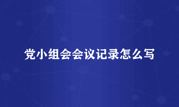 党小组会会议记录怎么写